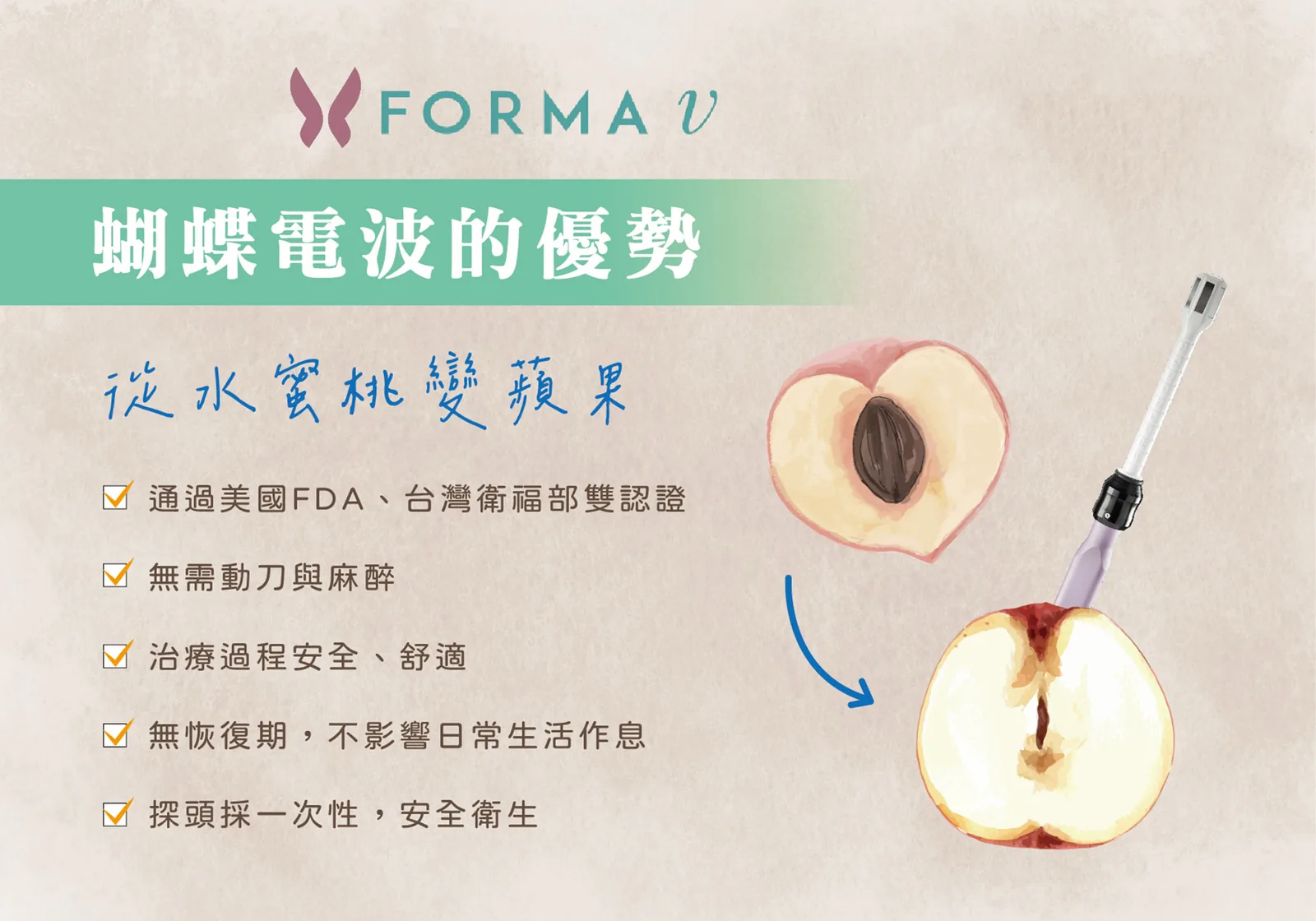 蝴蝶電波 介紹 2