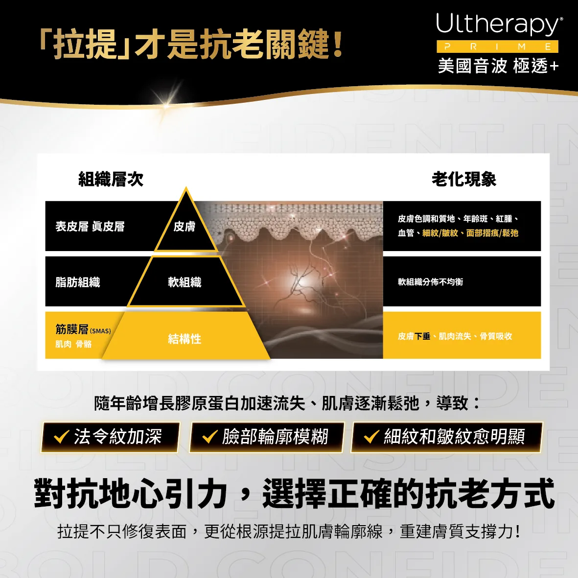 美國音波二代 極透+ 介紹 3