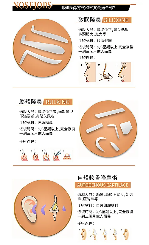 隆鼻 介紹 2
