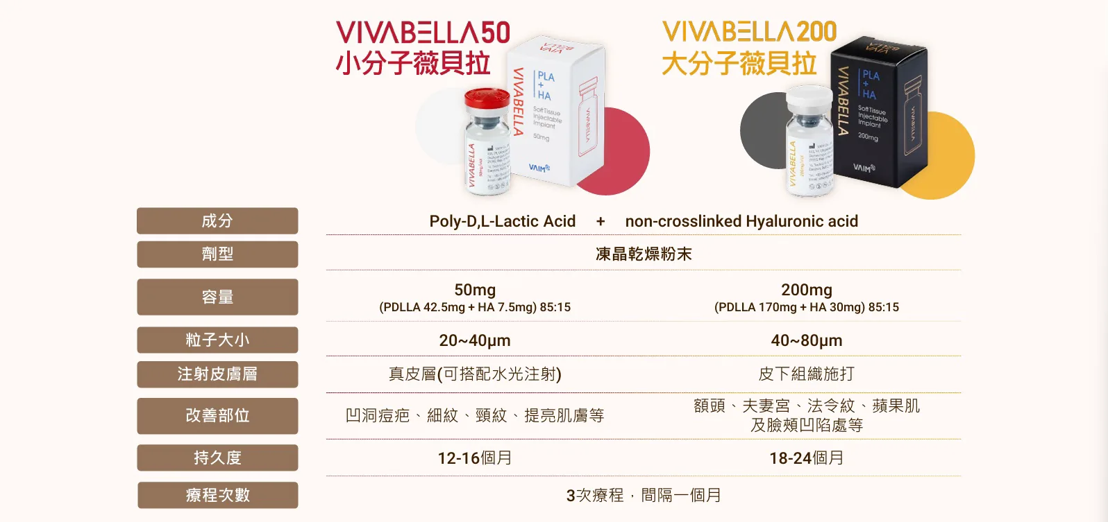 薇貝拉 介紹 4
