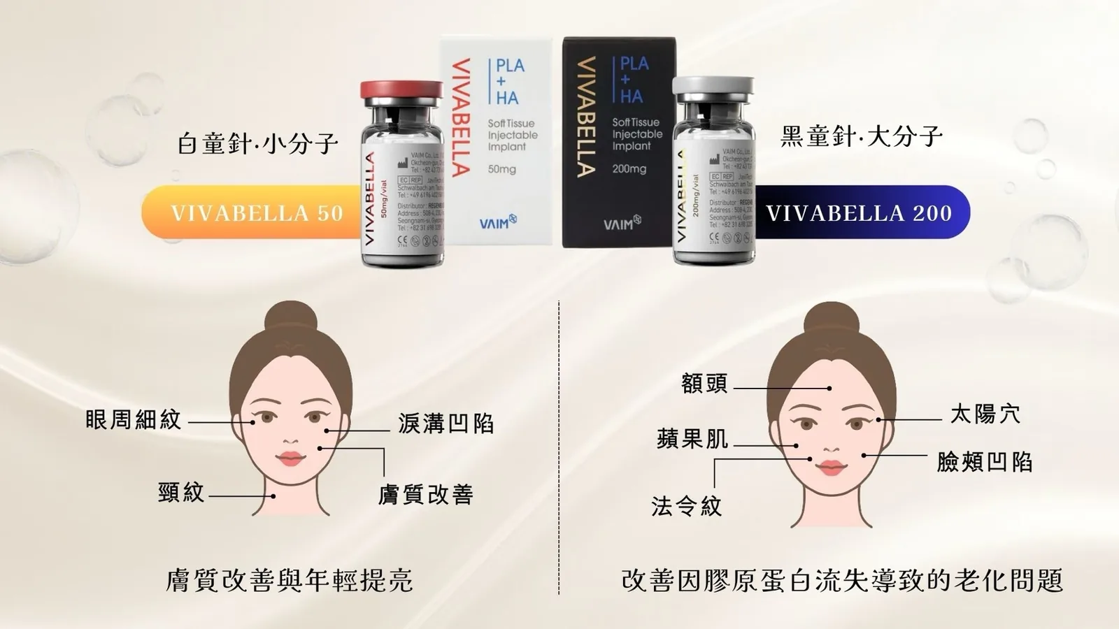 薇貝拉 介紹 5